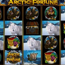 Play for Fun Arctic Fortune Pokie