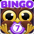 Bingo Crack App