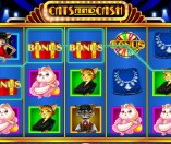 Pokie Cats and Cash