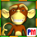 Monkey Money Slots App Review